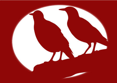 silhouette of the night sky with birdsの写真素材