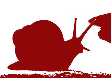 realistic snail glides slowly against the sunset backgroundの写真素材