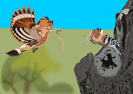 Bird feed chicks color sketch engraving vector illustration.の写真素材