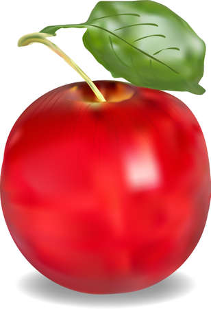 illustration of an apple on a white backgroundのイラスト素材
