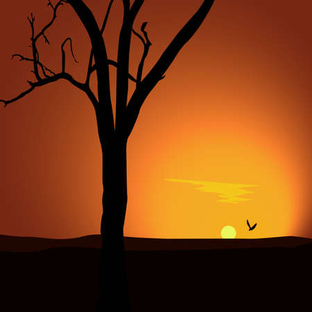 sunsetLandscape with sunset Silhouette of a tree in the looming darkness.の写真素材