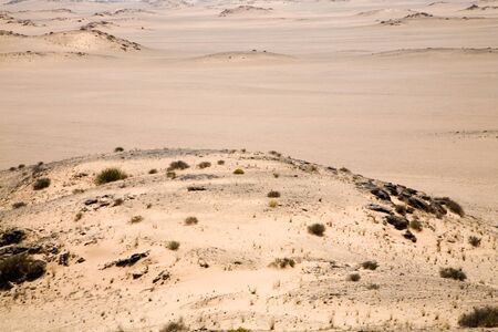 Bleak but imposing landscape of the Skeleton Coast, Namibiaの写真素材