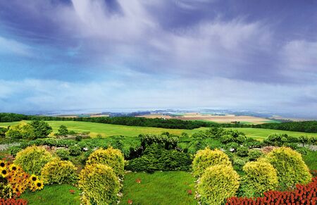 Illustrative garden and countryside view with blue sky, grass and flowers