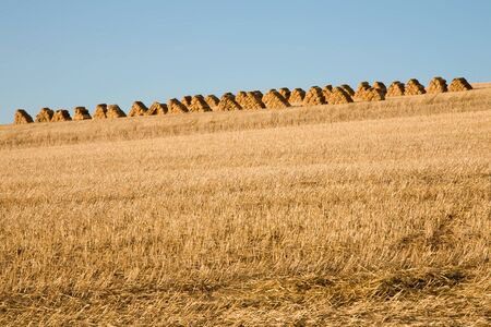 Fields and agriculture on the incredible Garden Road in South Africa