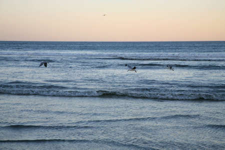 Early in the morning on the beach of cape town