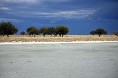Etosha Park with heavy and rainy sky - National game reserve in Namibia のeditorial素材
