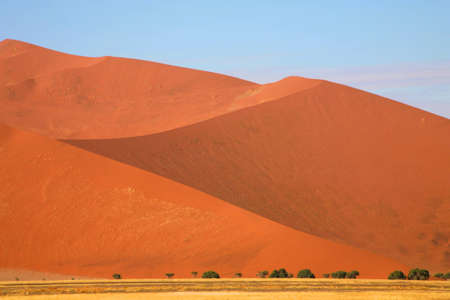 Namibia, Sossusvlei area, the Namib desertのeditorial素材