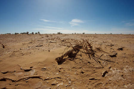 View of a wild landscape and desert in the south of Moroccoの写真素材