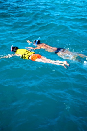 Snorkeling in the Indian ocean - Maldivesの写真素材