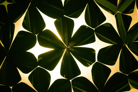 Grunge background with shape of flowers and background lighting