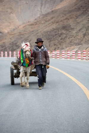 CHINA, TIBET, APRIL 17: A young adult unidentified farmer with his horse on the Friendship Road towards Kathmandu in Tibet, 17 April 2013.のeditorial素材