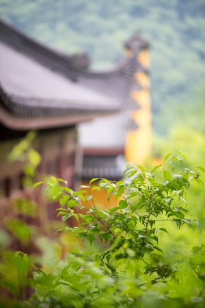 Traditional Chinese temple surrounded by the green forestの写真素材