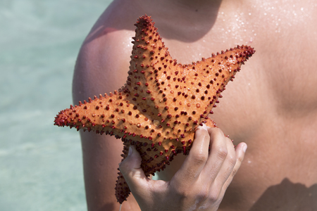 Huge star fish in mans hand over seaside background, Morrocoy National Park, Venezuelaの写真素材