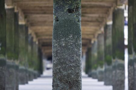 Detail of the pier of Zeebrugge, near Ostende on the North Sea in Belgium. Green pilasters aligned in a row.の写真素材