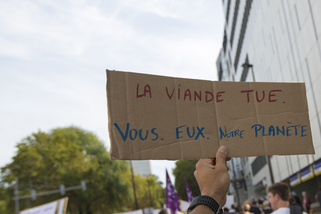 BRUSSELS, BELGIUM, SEPTEMBER 28: Belgian Gaia activists protest on the streets of Brussels on...