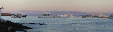 GALAPAGOS ISLANDS, ECUADOR - FEBRUARY 12: Panorama of sunset, a pelican and cruise ships in the port of Puerto Ayora. Galapagos Islands, Ecuador on February 15, 2015のeditorial素材