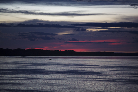 Wonderful purple blue sunset on the river Amazon with the silhouettes of the trees. Amazonas State,...
