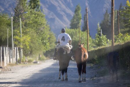 CAFAYATE, ARGENTINA, DEC 24: Rear view of a Gaucho riding his horse while holding two more in the countryside of Cafayate Province of Salta, Argentina 2014のeditorial素材