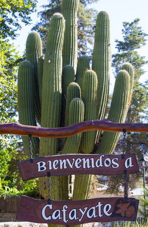 CAFAYATE, ARGENTINA, DEC 24: Wooden welcome sign in Cafayate with huge cactus behind and blue sky. Famous city for wine making and tasting. Salta province. Argentina. 2014のeditorial素材