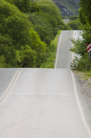 Up and down section of the famous route 40 paved road (ruta 40) parallel to the Andean mountains with trees, Jujuy Province. Argentina (Selective focus)の写真素材