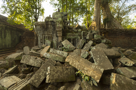 Tree root covering stone from prasat Ta Prohm temple in Angkor Wat near Siem Reap, Unesco Heritage site in Cambodiaの写真素材