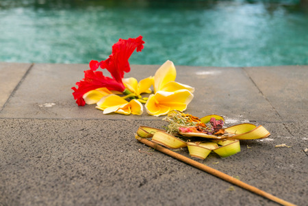 Couple Balinese colored flowers near by the swimming pool, religious offerings in Bali, Indonesia....