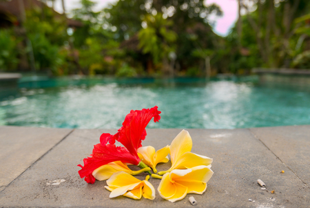 Couple Balinese colored flowers near by the swimming pool, religious offerings in Bali, Indonesia. Selective focus.の写真素材
