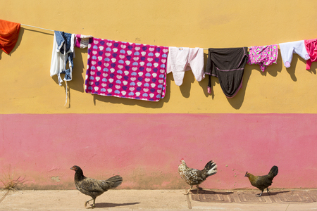 Clothes drying on string with chicken walking with colored wall in the background. Guatape, Colombiaの写真素材