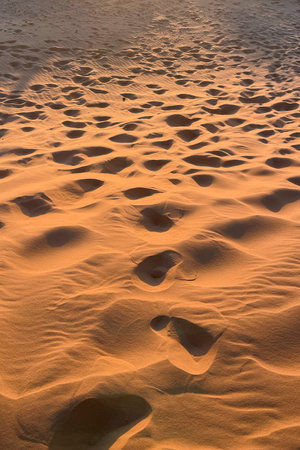 Sunset light and footprints in the desert of Merzouga in Moroccoの写真素材