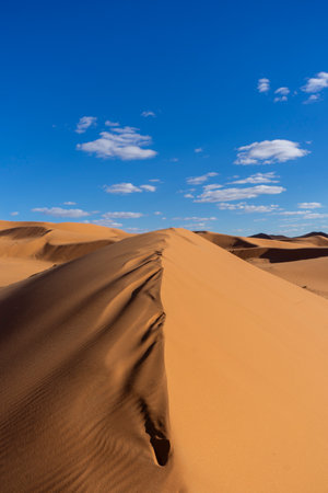 Sunset light and footprints in the desert of Merzouga in Moroccoの写真素材