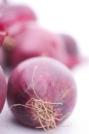 Onions on white backgroundの写真素材