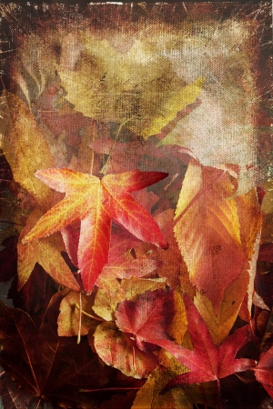 Beautiful colourful autumn leaves background painting  Distressed canvas effect 