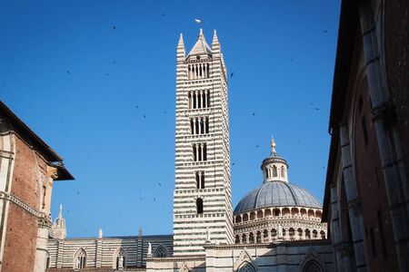 The striped bell tower and dome of the Cathedral of Siena on a beautiful summer day の写真素材