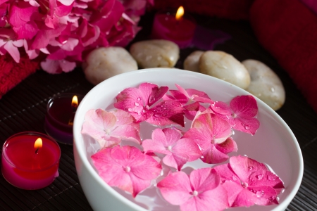 Pink hydrangea flowers floating in a bowl with essential oils. Shallow depth of field. Landscape orientation.の写真素材