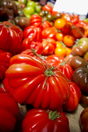Heaps of many different types of tomatoes in all sizes and colours for sale at a farmers' market. Focus on a huge ripe beef tomato. Shallow depth of field.の写真素材
