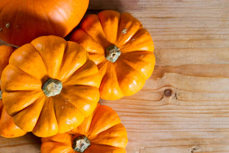 Festive bright orange pumpkins against wooden background. Copy space.の写真素材