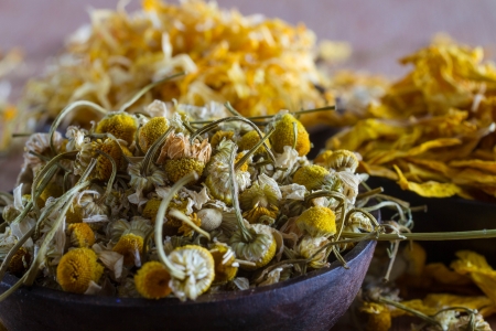 Dried  chamomile buds, with marigold and sunflower petals in the background: for herbal tea, alternative medicine, pot-pourri.の写真素材