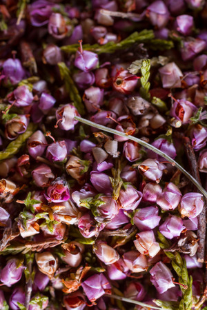 Closeup on dried heather hips: for decoration, alternative medicine, wedding confetti. Copy space.の写真素材