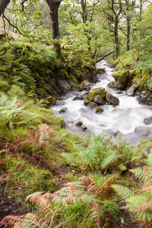 A beautiful waterfall in a creek in the forest in the Lake District, England. Long exposure, soft light through the rain. Misty weather.の写真素材