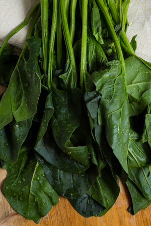 Bunch of fresh spinach just washed.の写真素材