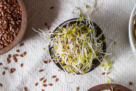 Alfalfa sprouts and crunchy healthy linseed.の写真素材