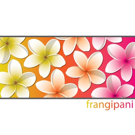 All occasion frangible cardのイラスト素材