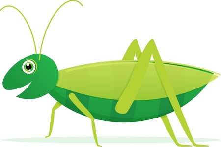 Cute Cartoon Grasshopper