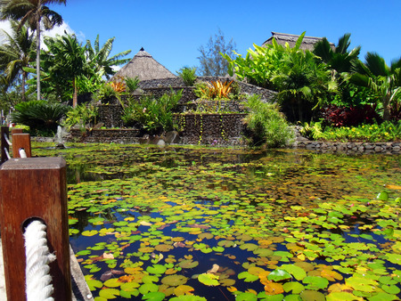 Ornamental fish pond of Jardins de Pa'ofa'i (Garden of Paofai) in Papeete, French Polynesia.の写真素材