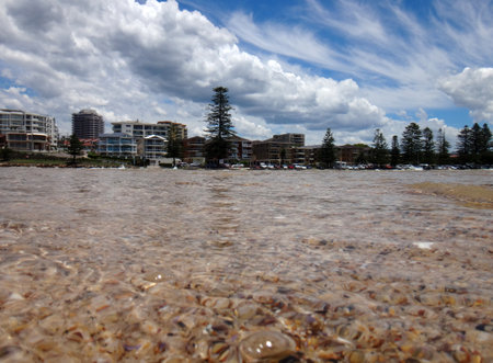 Waterfront scene of The Entrance, NSW Central Coast Australia.のeditorial素材
