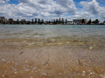 Waterfront scene of The Entrance, NSW Central Coast Australia.のeditorial素材