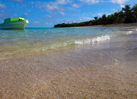 Scene of Mystery Island, Aneityum, Vanuatu.のeditorial素材