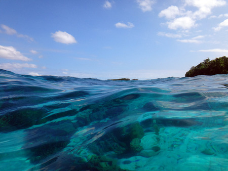 Sealife of Tranquility Island, Efate, Vanuatuの写真素材