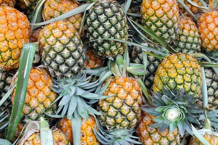 Many pineapples are placed for sale to tourists.