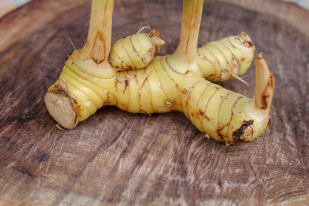 Galanga on wooden backgroundの写真素材